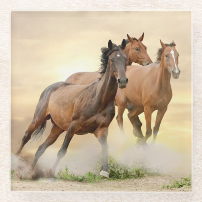 Horses In Sunset Glass Coaster (Front)