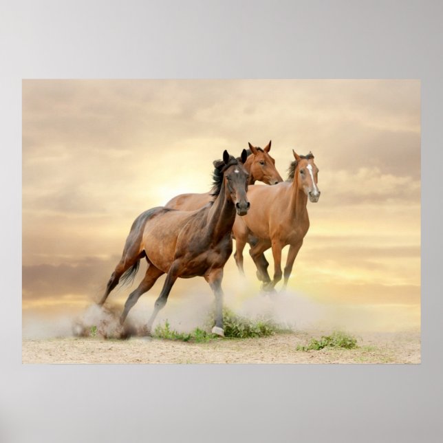 Horses In Sunset Poster (Front)