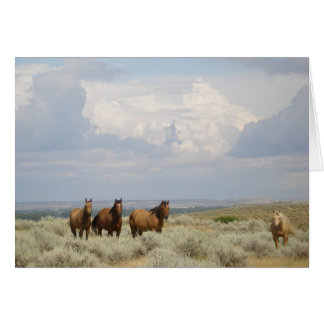 Horses in the American West