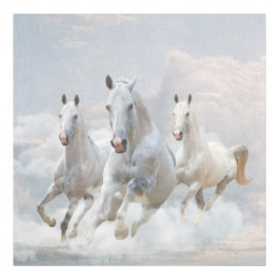 Horses in the clouds    photo print