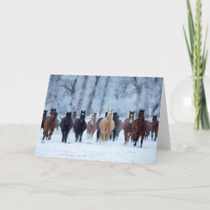 Horses in the Cold Card
