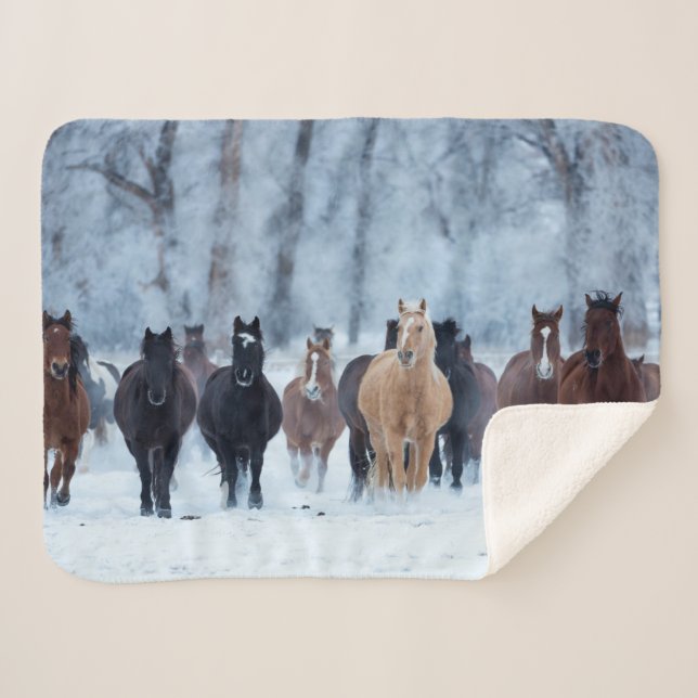 Horses in the Cold Sherpa Blanket (Front (Horizontal))