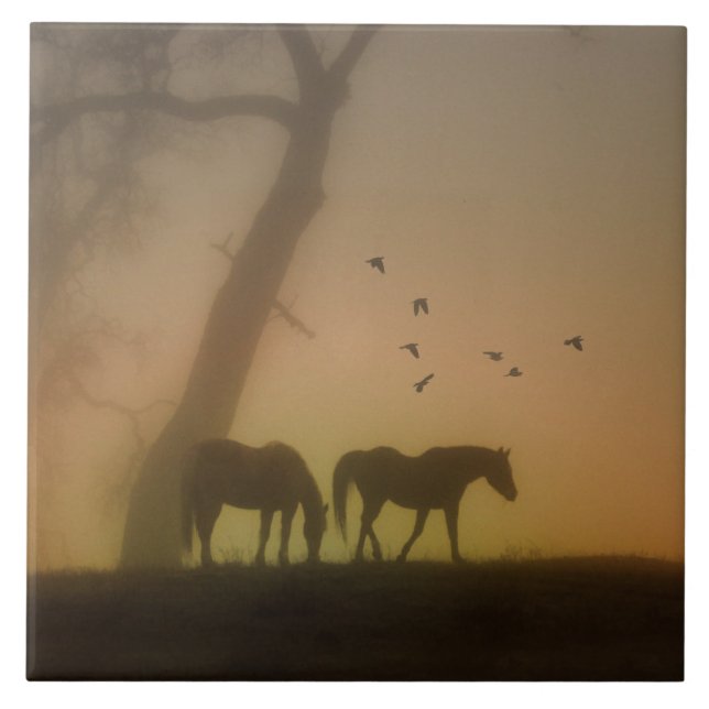 Horses in the Mist Art Tile (Front)