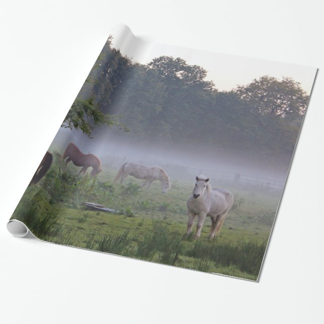 Horses in the mist countryside wrapping paper (Unrolled)