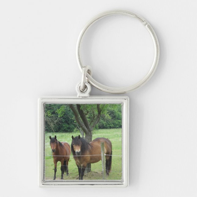 Horses in the Pasture Key Ring (Front)
