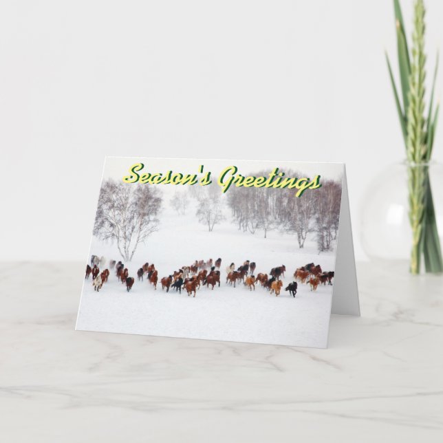 Horses in the snow Christmas card (Front)
