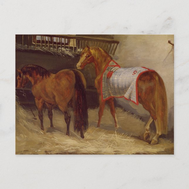 Horses in the Stables Postcard (Front)