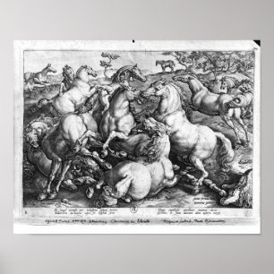 Horses in the wild poster