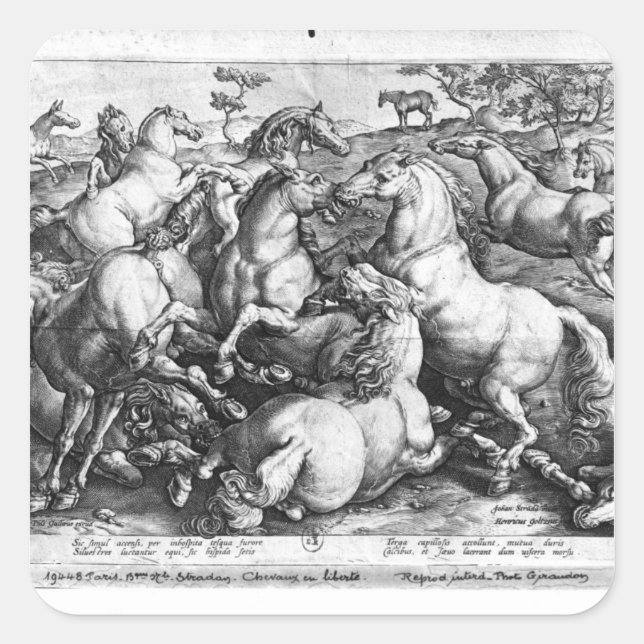 Horses in the wild square sticker (Front)