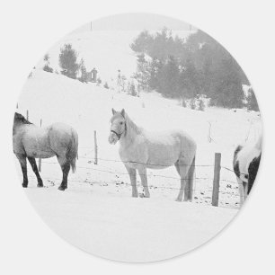 Horses In Winter Classic Round Sticker