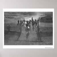 Horses into the corral