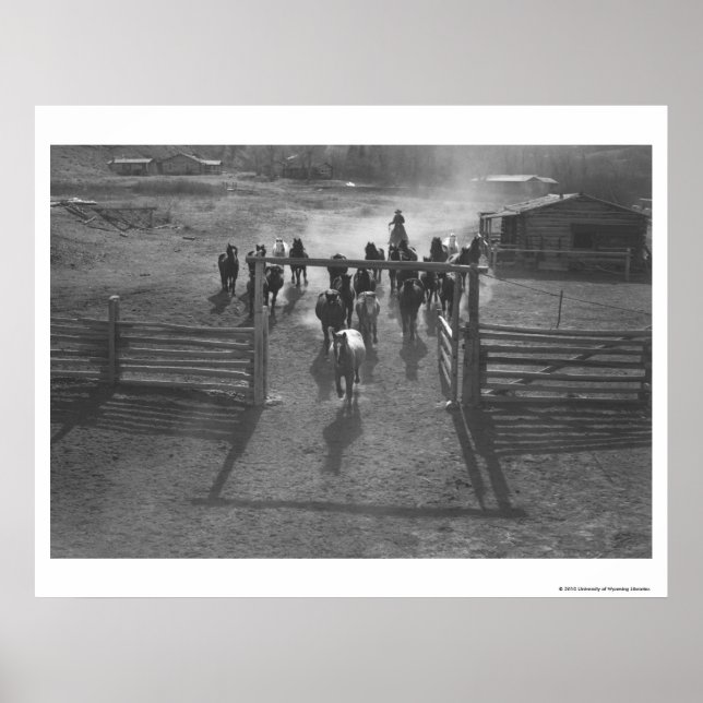Horses into the corral poster (Front)