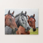 Horses Jigsaw Puzzle<br><div class="desc">3 Horse Heads
 Photo Puzzle with Gift Box Turn designs,  photos,  and text into a great game with customisable puzzles! Made of sturdy cardboard and mounted on chipboard,  these puzzles are printed in vivid and full colour. For hours of puzzle enjoyment,  give a custom puzzle as a gift today!</div>