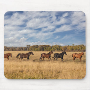 Horses Just Outside Grand Teton National Park Mouse Pad
