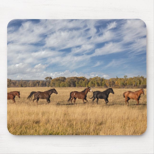 Horses Just Outside Grand Teton National Park Mouse Pad (Front)