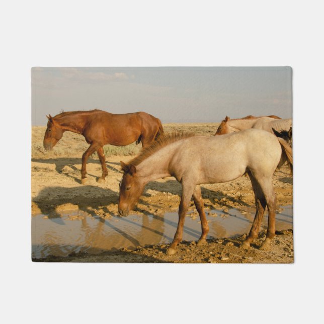 Horses Looking for Water Doormat (Front)