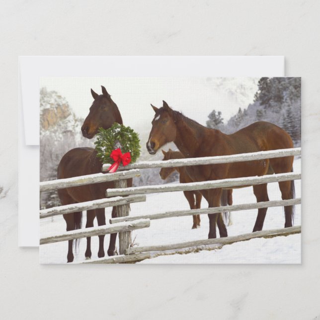 Horses looking over fence in snow (Front)