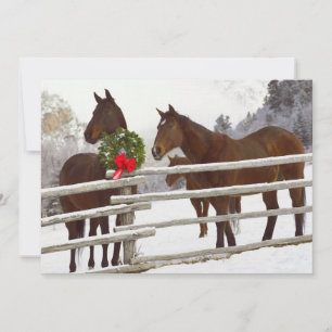 Horses looking over fence in snow