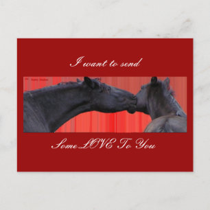 Horses & Love Postcard customisable