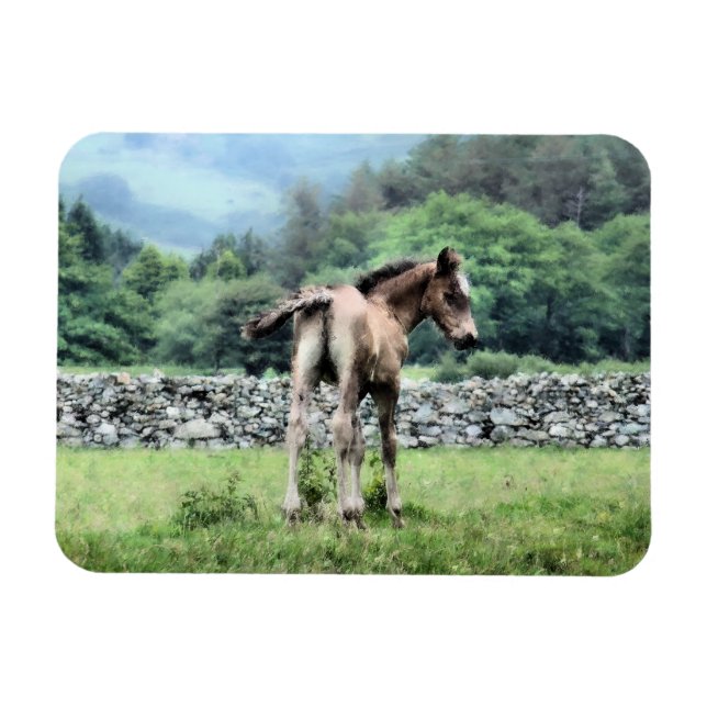 HORSES MAGNET (Horizontal)