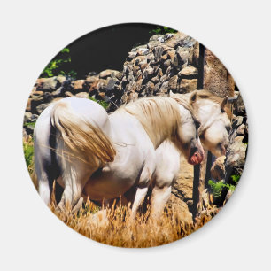 HORSES MAGNET