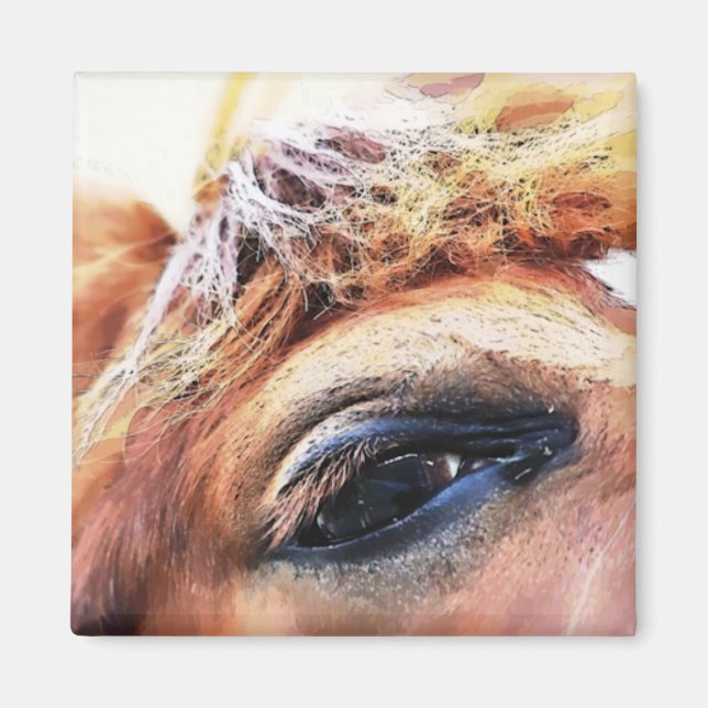 HORSES MAGNET (Front)