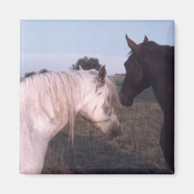 Horses Magnet (Front)