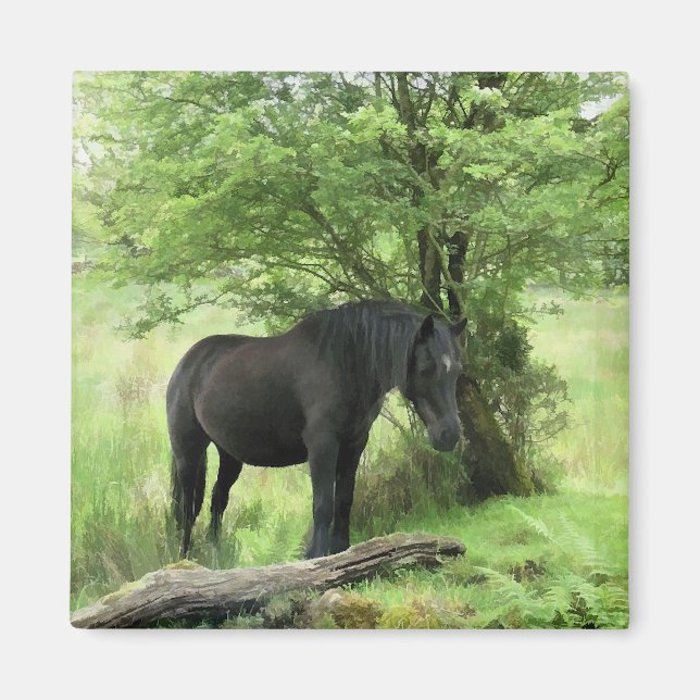 HORSES MAGNET (Front)