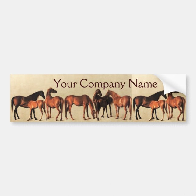 HORSES /MARES AND FOALS Horse Breeder Bumper Sticker (Front)