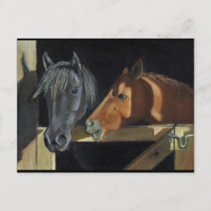 Horses Meeting At Gate: Art In Oil Pastel Postcard