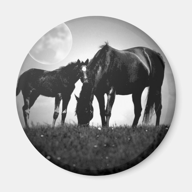 Horses & Moon Magnet (Front)