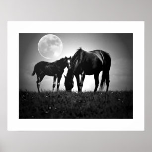 Horses & Moon Pop Art Square Poster Print