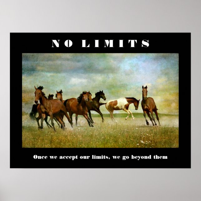 Horses Motivational Inspirational No Limits Quote Poster (Front)