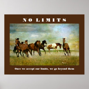 Horses Motivational Inspirational No Limits Quote Poster