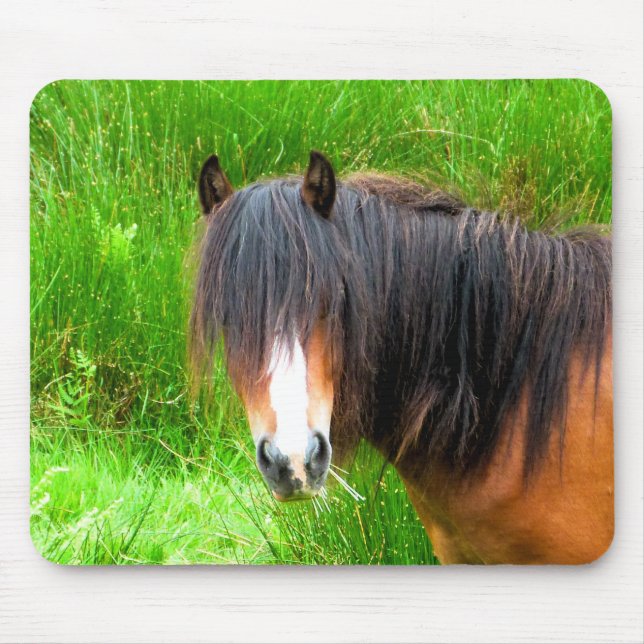 HORSES MOUSE PAD (Front)
