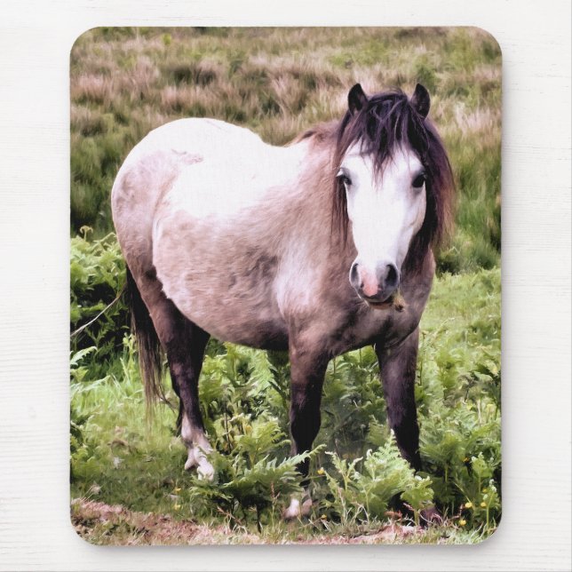 HORSES MOUSE PAD (Front)