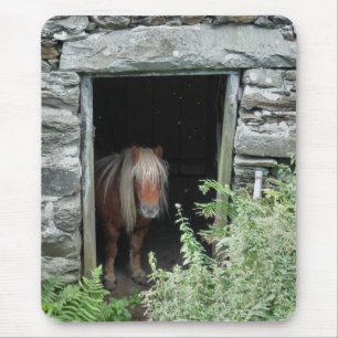 HORSES MOUSE PAD