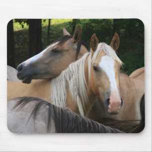 Horses mouse pad