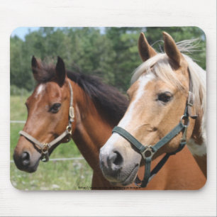 Horses Mouse Pad