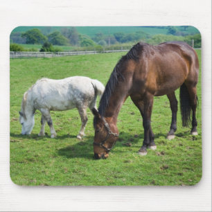 Horses Mouse Pad