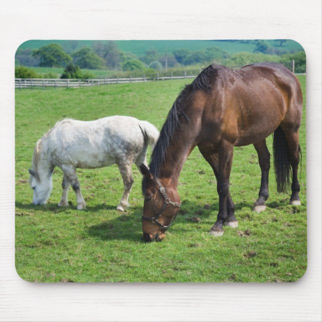 Horses Mouse Pad (Front)