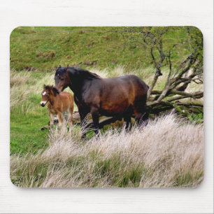 HORSES MOUSE PAD