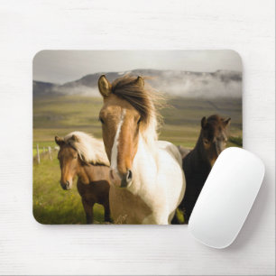Horses Mouse Pad