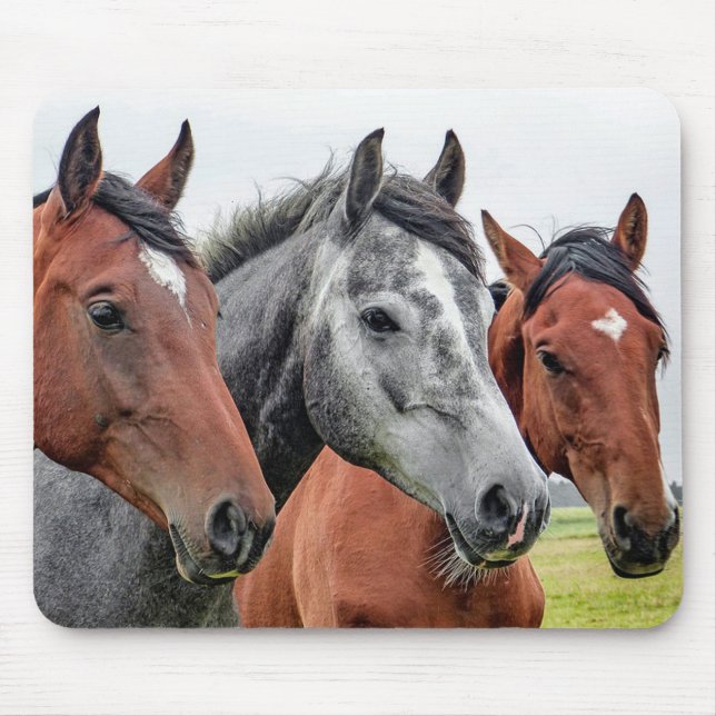 Horses Mouse Pad (Front)