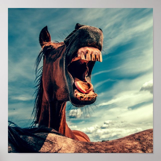 Horse's Mouth Teeth Neigh Wild Horse Animal Poster (Front)
