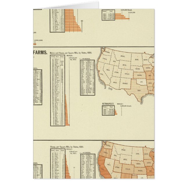 Horses, mules, asses, sheep (Front)