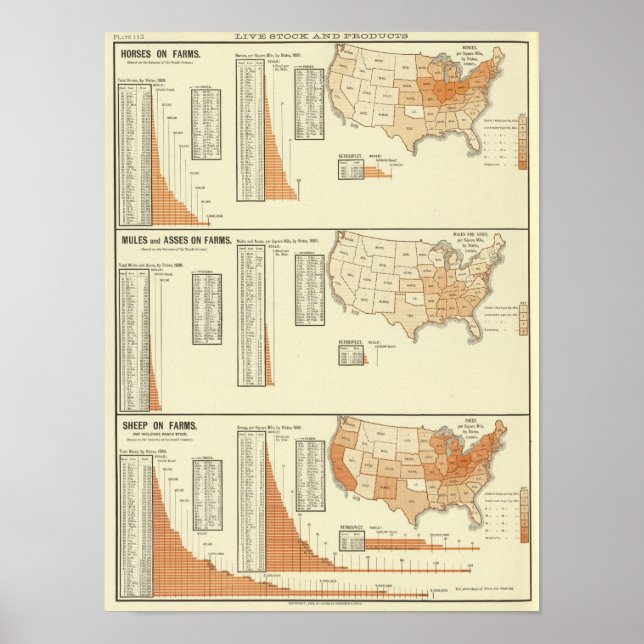 Horses, mules, asses, sheep poster (Front)