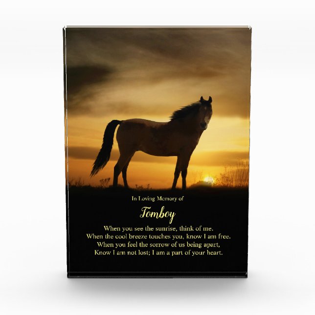 Horse's Name Custom Memorial Beautiful Poem Photo  (Front)