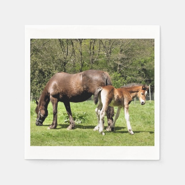 HORSES NAPKIN (Front)