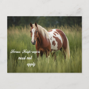 Horses Neighsayers Need Not Apply Pinto Postcard